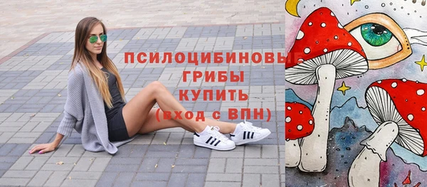 марки lsd Абаза