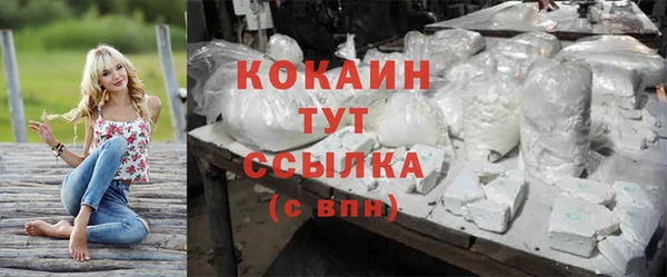 гашик Чердынь