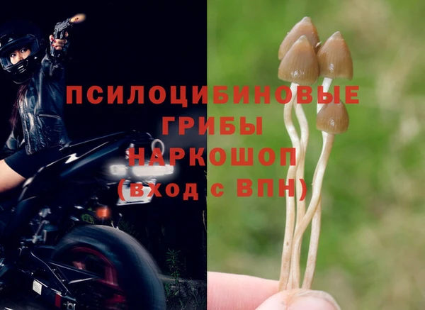 не бодяженный Абинск