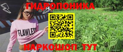 мяу мяу мука Ливны