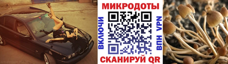 MEGA ТОР  Прокопьевск  Псилоцибиновые грибы GOLDEN TEACHER 