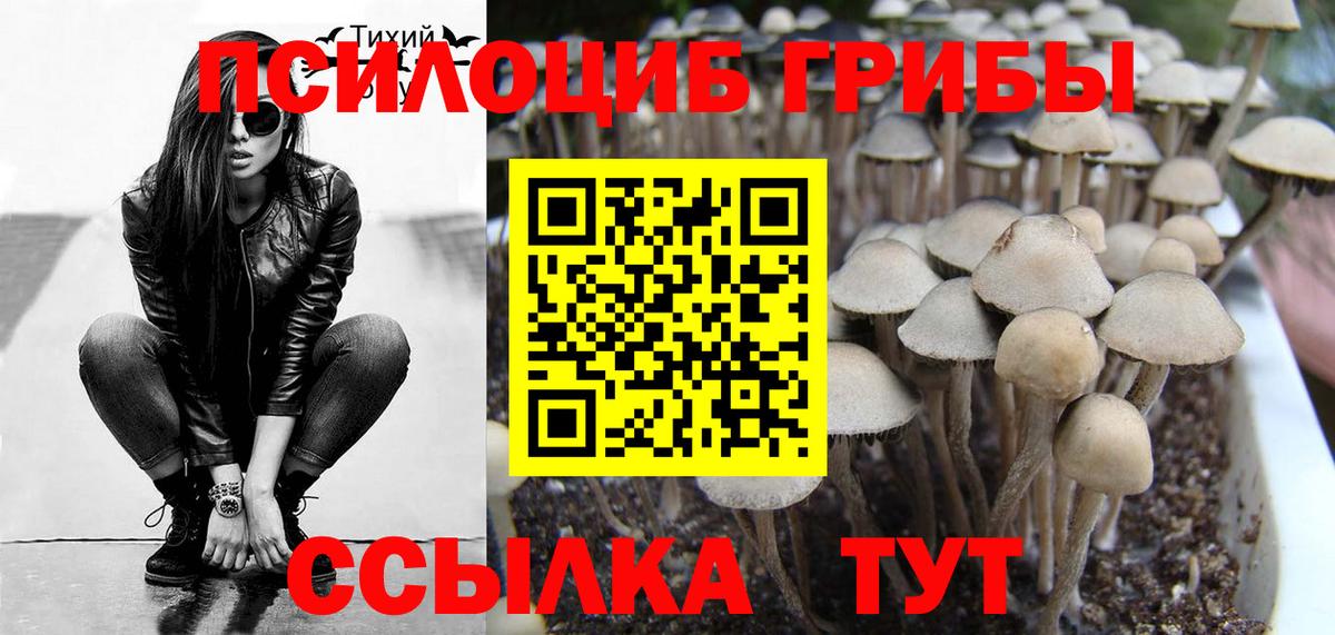 Псилоцибиновые грибы мицелий Прокопьевск