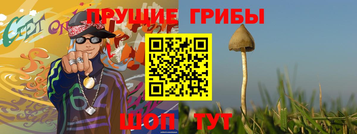 Прокопьевск  Псилоцибиновые грибы Psilocybe  Вход с VPN  Псилоцибиновые грибы мицелий 